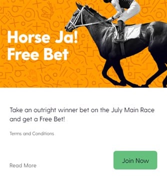 durban july special offer horse ja